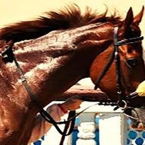 Captain Ray (The famous Racehorse Tipster)