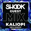 Télécharger la video: Shook Crew Guest Mix #010 - Kaliopi