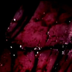 horrormovies cutting w maxo xoxo