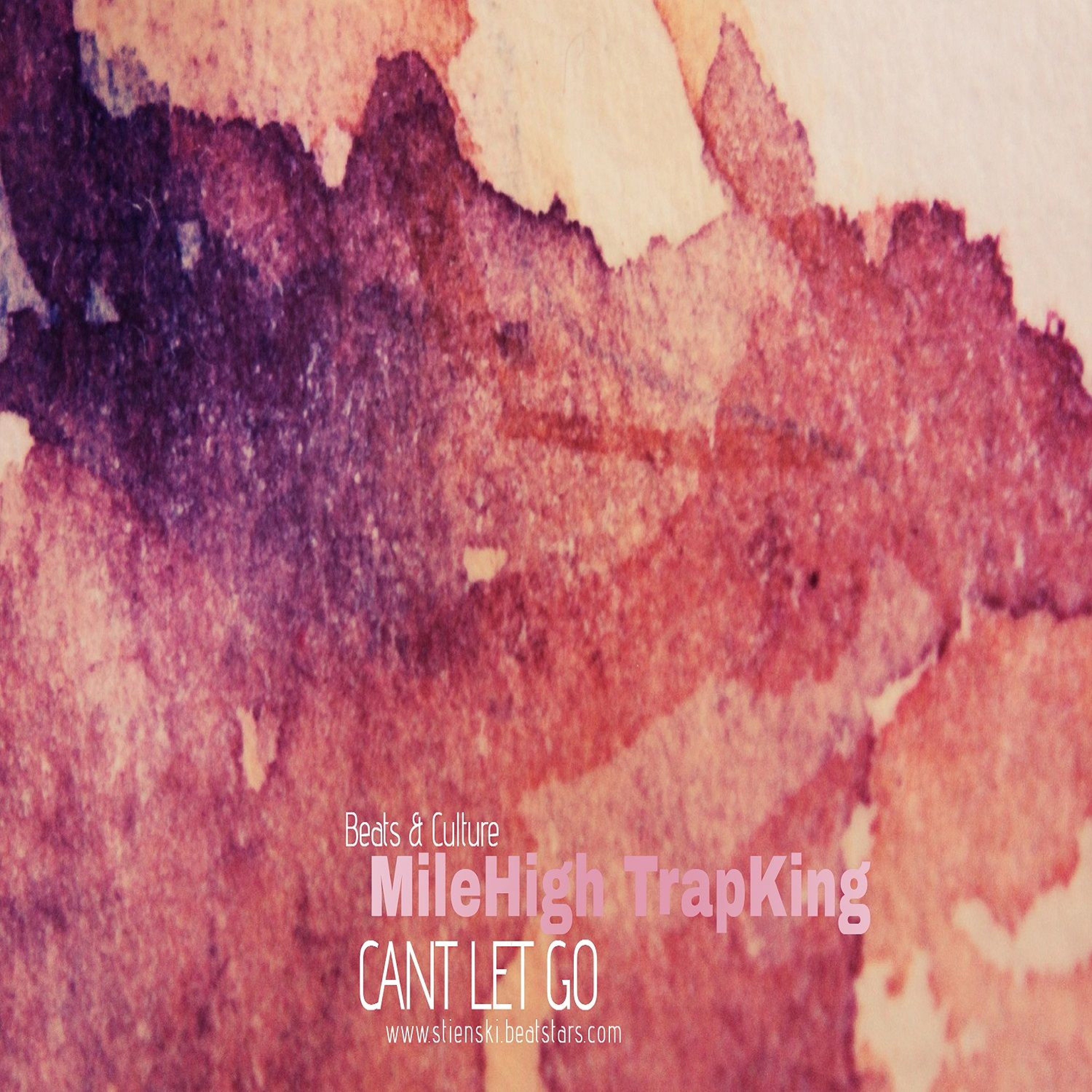 CANT LET GO (Prod. Stienski) episode artwork