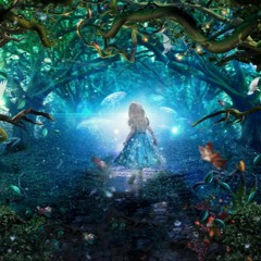 Wonderland 🦋