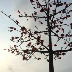 I'll Still Have Me by CYN (Cover)