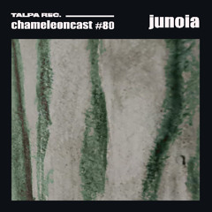 chameleon #80 - junoia