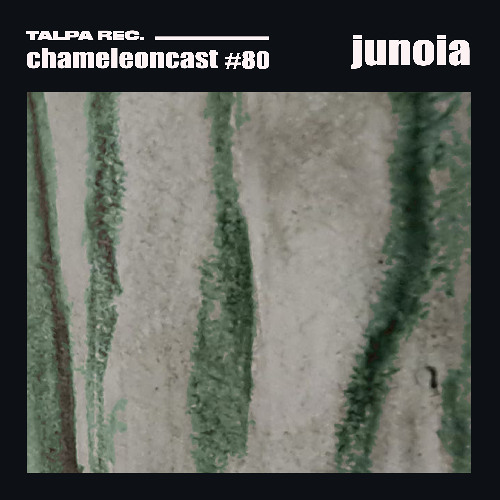 chameleon #80 - junoia