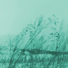 alone at woods - sunku ver.