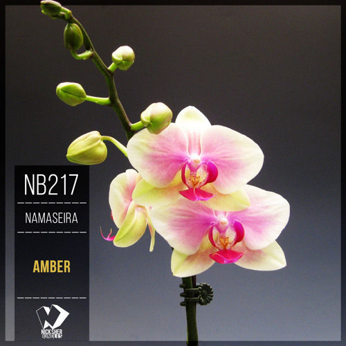 Namaseira - Amber (Original Mix)