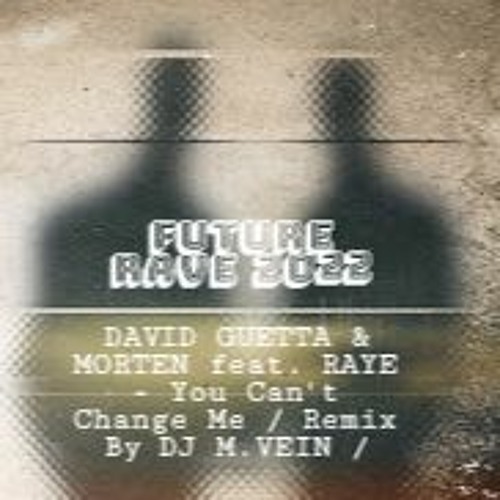 DAVID GUETTA & MORTEN FT.RAYE - YOU CAN´T CHANGE ME / REMIX  DJ M.VEIN 2023 Spinnin' Records T.P. /