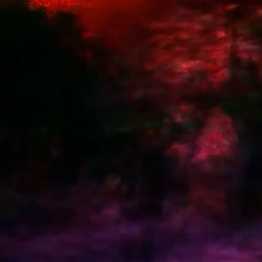 witnessed experiment