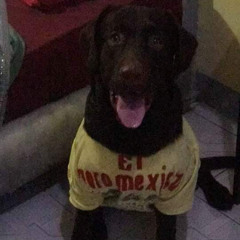 Angels Like You by Miley Cyrus