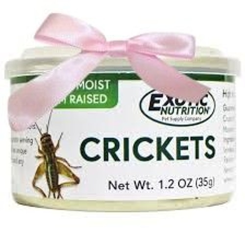 FINAL 80 ("Base") - Sonic.EXE: The Disaster OST