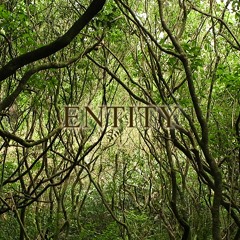Entity