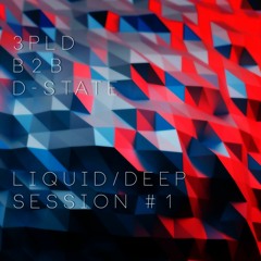 3PLD b2b D-State liquid/deep session #1