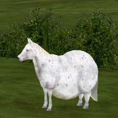 Pegasus