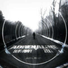 Slowboy & Zeli - Adrenaline