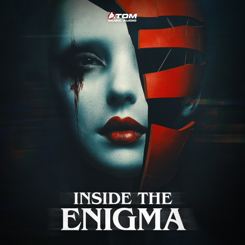 Inside The Enigma