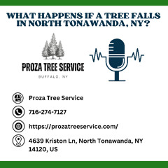 What Happens If a Tree Falls in North Tonawanda, NY?