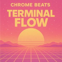 Terminal Flow