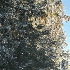 Heartbeat (prod.CRCL)