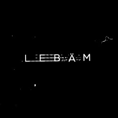 Lebäm Solo Mix 1