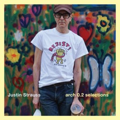 Justin Strauss - arch 0.2 selections