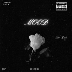 MOOD -Lil Zay