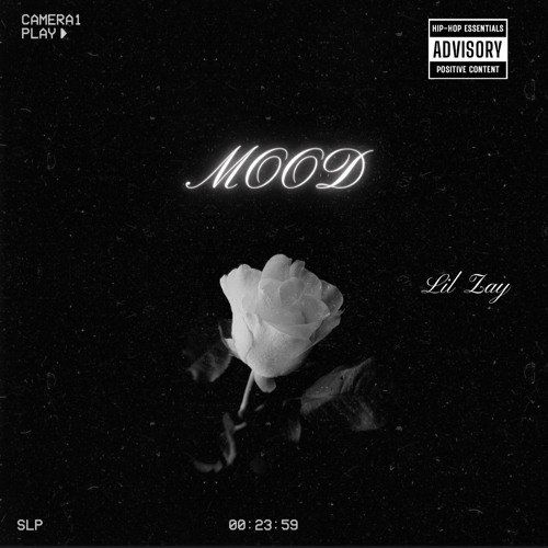 MOOD -Lil Zay
