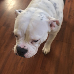 OnetxkeDemo By. Kxng Produced by Rxkz