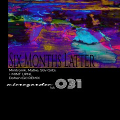 PREMIERE: Minitronik aka Matke and Stiv - Six Months Latter (MINT Remix)