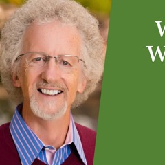 Where Is God When It Hurts - Philip Yancey