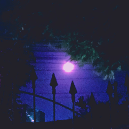 Ponteiro (Demo)