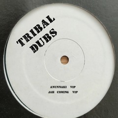 Tribal Dubs - Jah Coming VIP (17-02-24)
