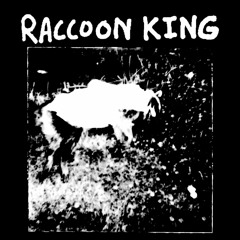 Raccoon King Live