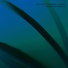natural/electronic.system. - Noctiflora (Adhémar Photosynthesis)