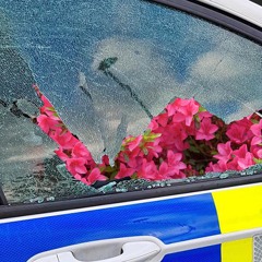 PAIR up (Demo) (Feat. Ed Riley)