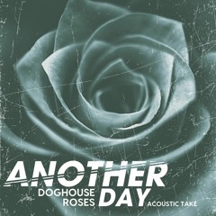 Doghouse Roses (Acoustic Take)