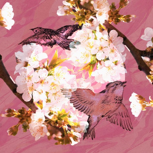 Edifying Lofi Playlist Pt.2