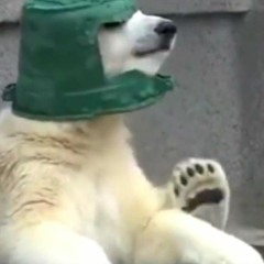 Polar Bowler 2