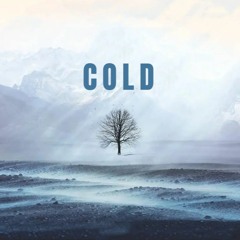 Cold (Prod. Fukk2Beatz VI)