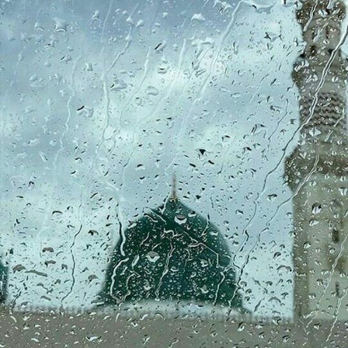 المنشد الكبير محمد النصار أبو كامل عليك صلى الله أبحب أحبابي ألام