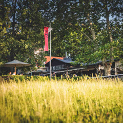 Dolce Vita Summertime