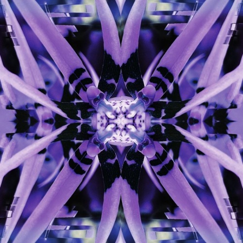 Liquid Moonlight Mix (Bass Nymph B2B Jason Burruss)