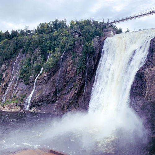 Stream Hugh Laurie The Weed Smoker's Dream (Cover) by Magdalena