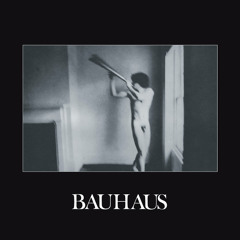Rock / Post-Punk / Darkwave