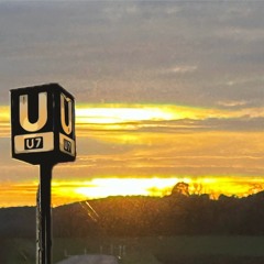 U TURN