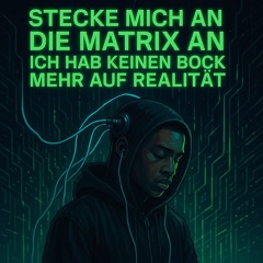 Stecke mich an die Matrix an kein Bock auf Realität  .