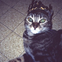 wenszy - 2night (aftrr remix)