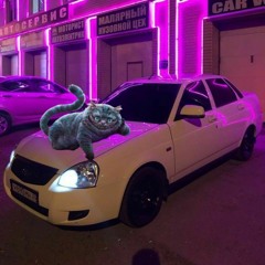 juugslime - Cheshire cat (p. 2econd)