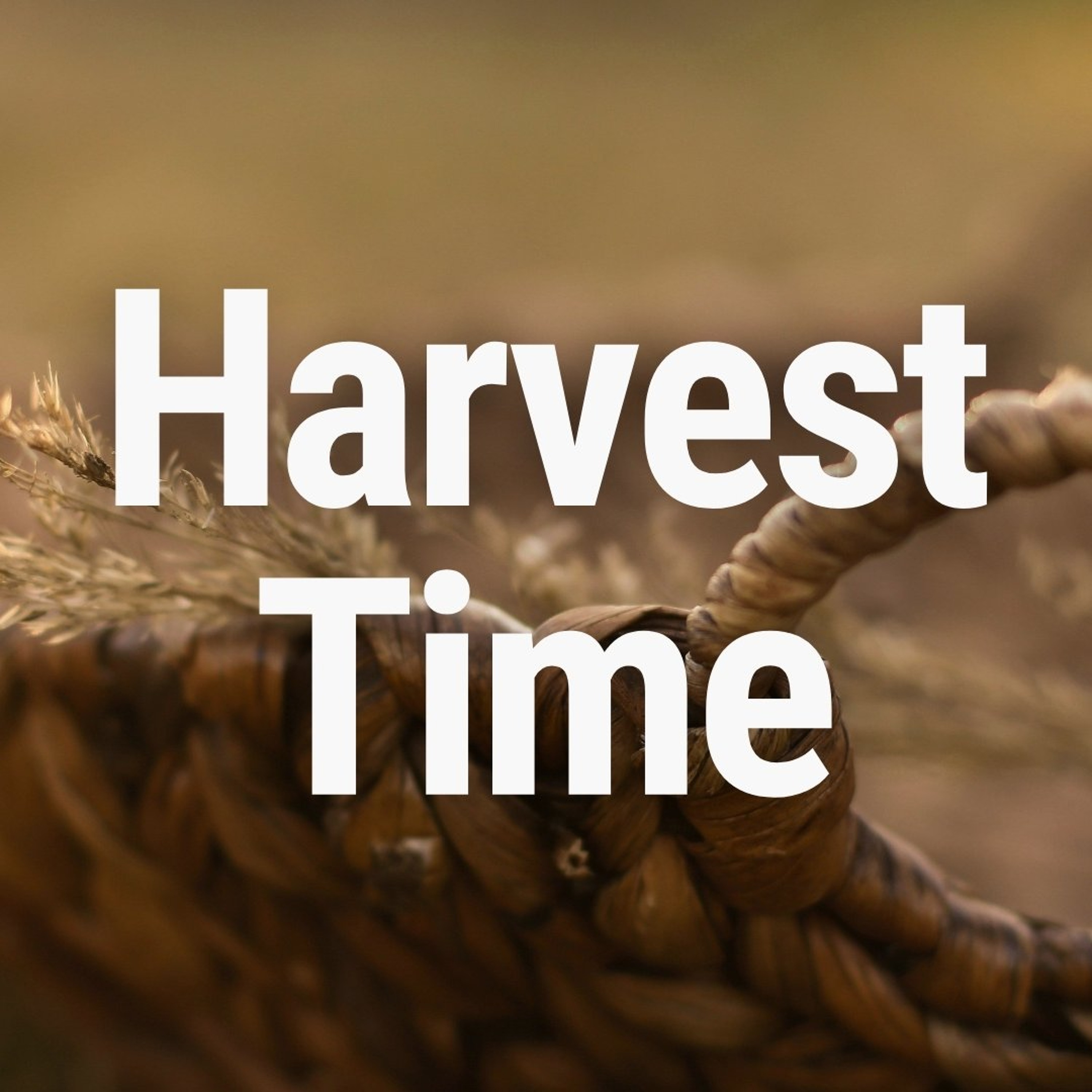 Harvest Time - Part 2 episode artwork