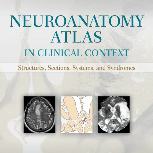 [PDF] Neuroanatomy Atlas in Clinical Context: Structures, Sections, Systems,