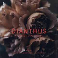 Dianthus - A Love Mixtape Trilogy Vol. 3.? - You're A Wonderful Risk... I'll Take You